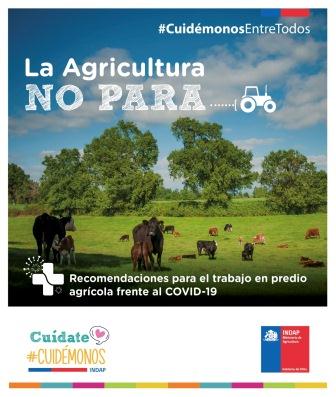 INDAP PRESENTA MANUAL PARA PREVENIR COVID-19 EN LA PEQUEÑA AGRICULTURA DEL PAÍS