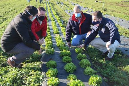 INDAP HABILITA PERMISO DE DESPLAZAMIENTO PARA QUE AGRICULTORES PUEDAN MOVERSE EN CUARENTENA