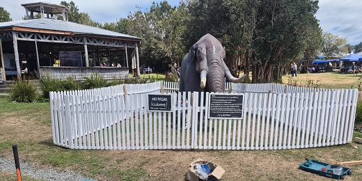 Parque Municipal de Castro: Gonfoterio queda protegido con cierre perimetral