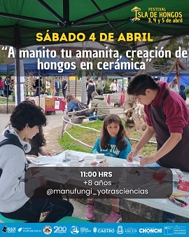 El Festival “Isla de Hongos” llega este fin de semana a Chonchi
