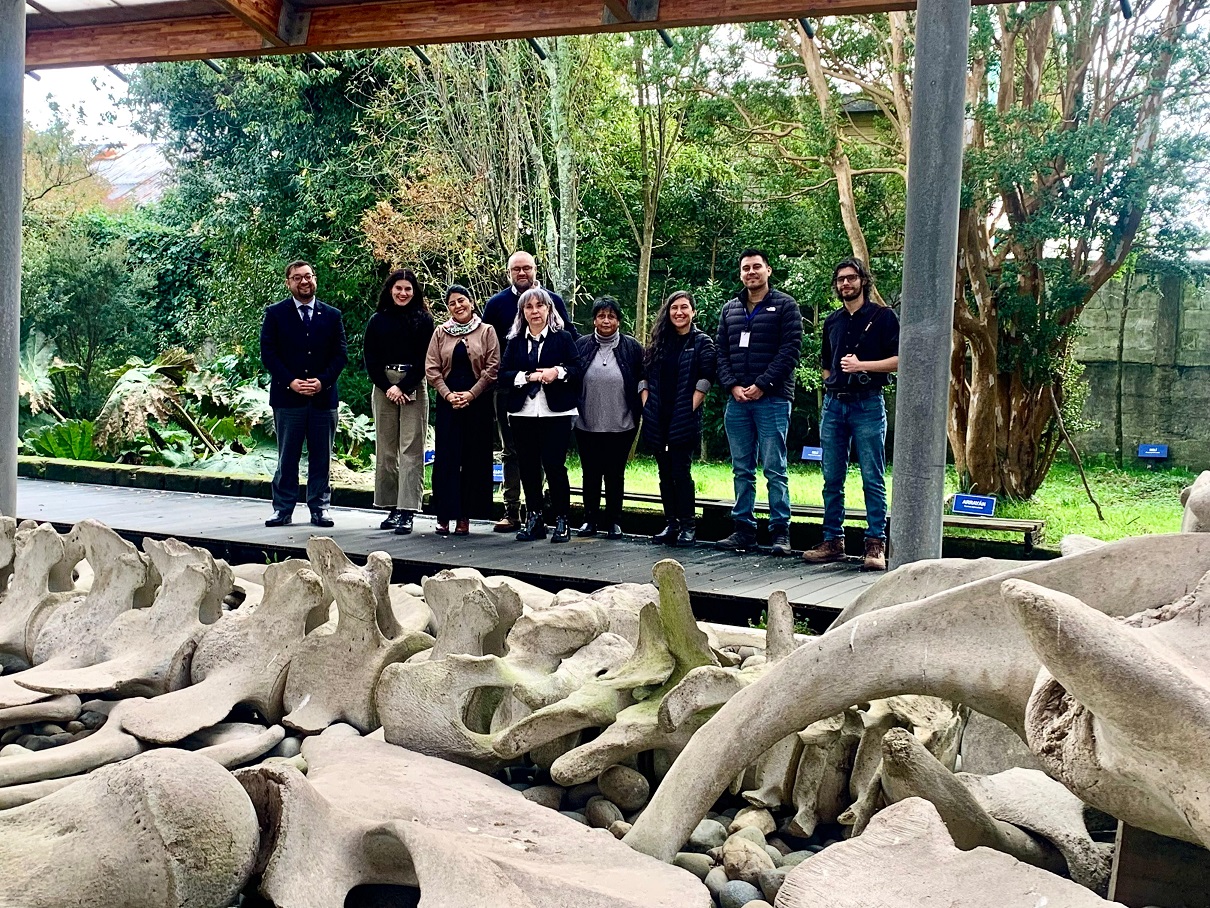 Autoridades lanzan Día del Patrimonio y destacan avances del proyecto de ampliación del Museo Regional de Ancud
