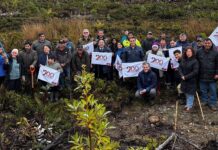 Comunidad Coihuín de Compu culmina proyecto de restauración de bosque nativo para enfrentar el cambio climático impulsado por CONAF y FAO