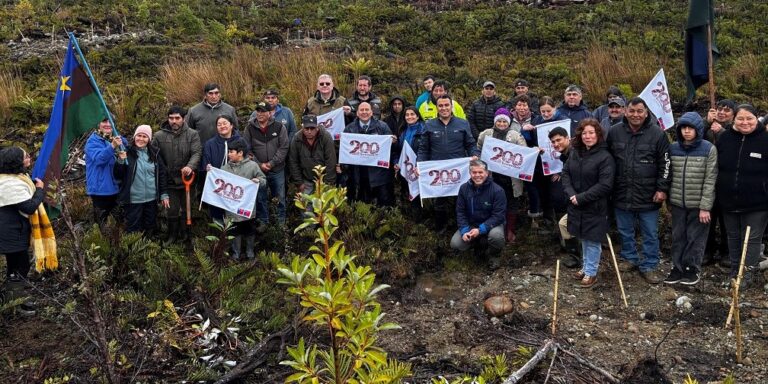 Comunidad Coihuín de Compu culmina proyecto de restauración de bosque nativo para enfrentar el cambio climático impulsado por CONAF y FAO
